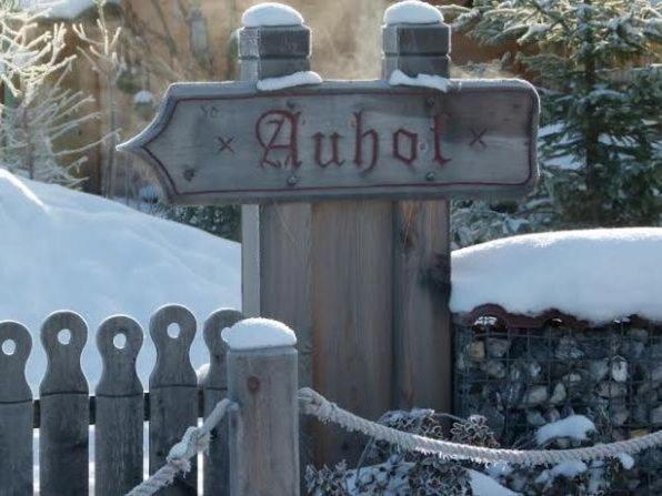 Chalet Auhof Flachau Eksteriør bilde